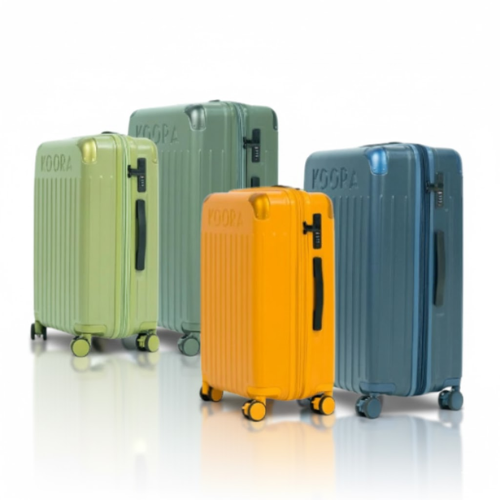 Checked In Luggage