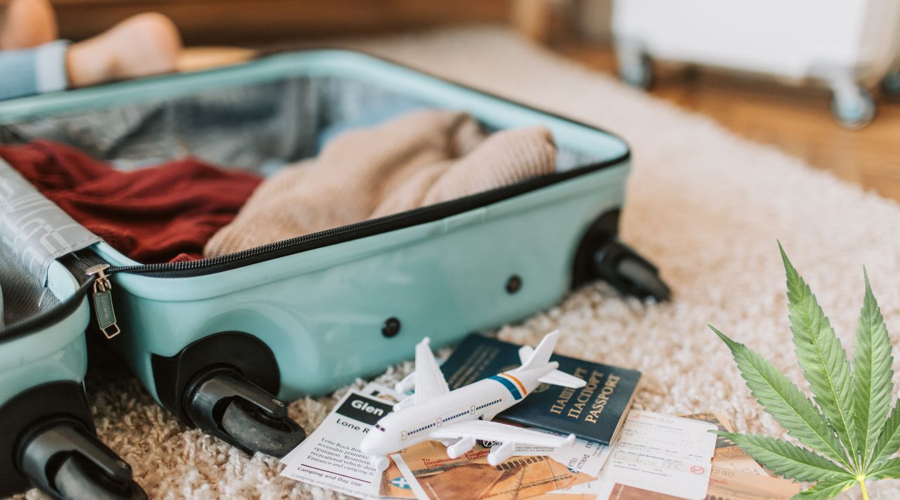 Is Hemp the Future of Luggage Fabric? Testing 3 Sustainable Suitcases